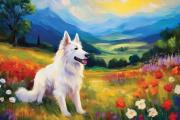 Berger blanc art#4